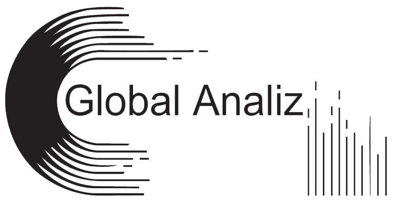 Global Analiz